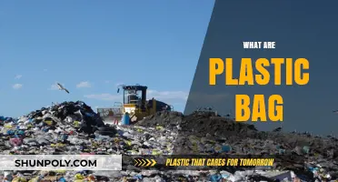 Understanding Plastic Bags: Uses, Impact, and Eco-Friendly Alternatives