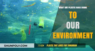 Plastic Bags' Environmental Impact: Pollution, Wildlife Threats, and Sustainable Solutions
