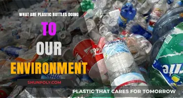 Plastic Bottles' Environmental Impact: Pollution, Waste, and Sustainable Solutions