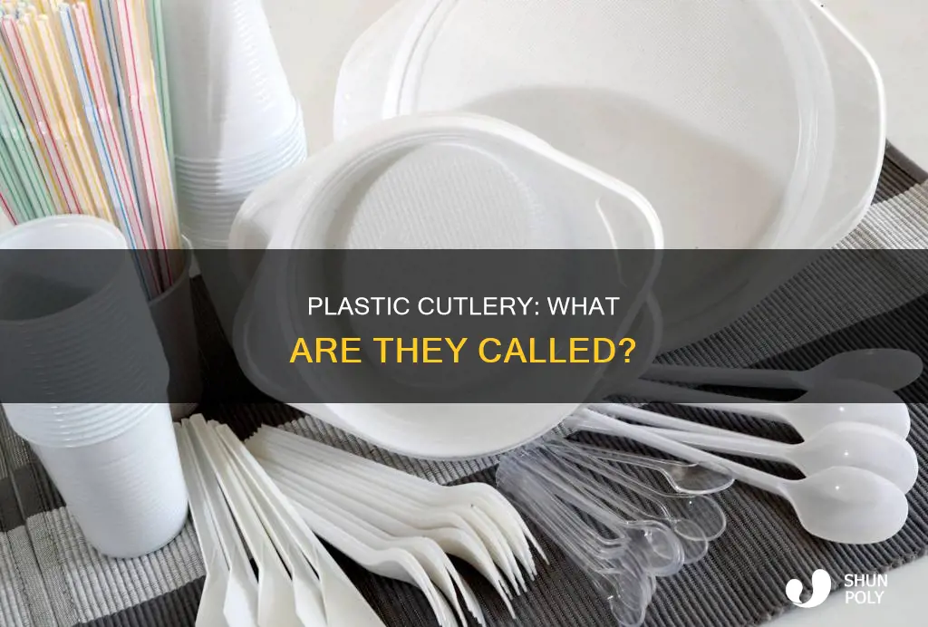 what are plastic forks and spoons called