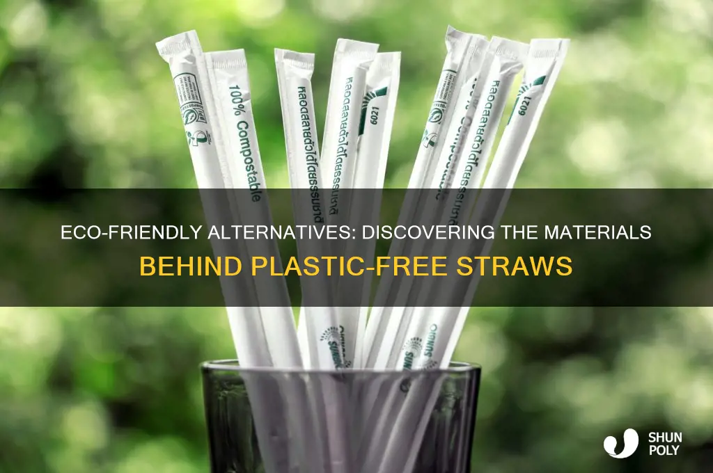 what are plastic free straws made of