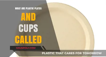 Plastic Cutlery: What Are Plates and Cups Called?
