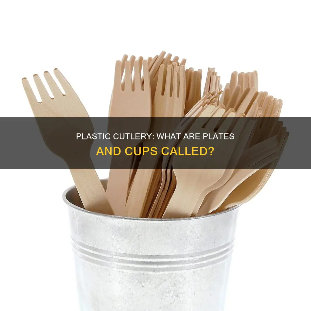 what are plastic plates and cups called