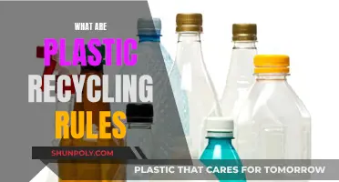 Plastic Recycling: Rules to Know and Follow