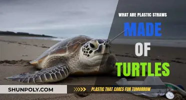 Plastic Straws, Turtle Tears: The Harmful Materials Behind Single-Use Plastics