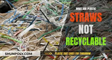 Why Plastic Straws Are Not Recyclable: Understanding the Issue