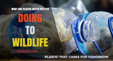 Plastic Water Bottles' Devastating Impact on Wildlife and Ecosystems