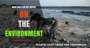 Plastic Pollution: Environmental Impact and Solutions