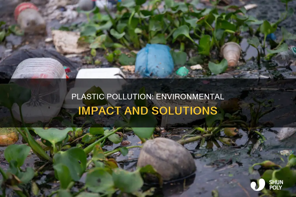 what are plastics impact on the environment