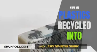 Transforming Plastics: Innovative Recycled Products