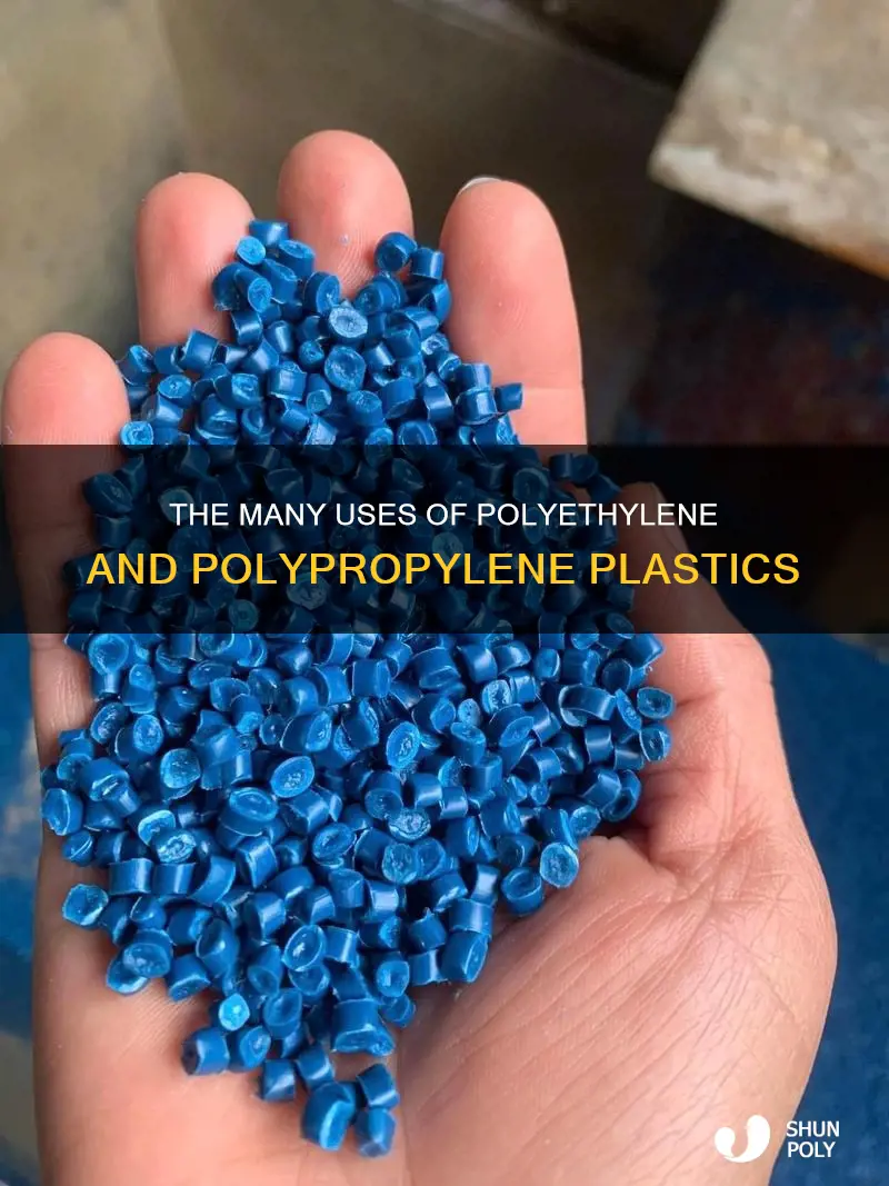 what are polyethylene and polypropylene plastics