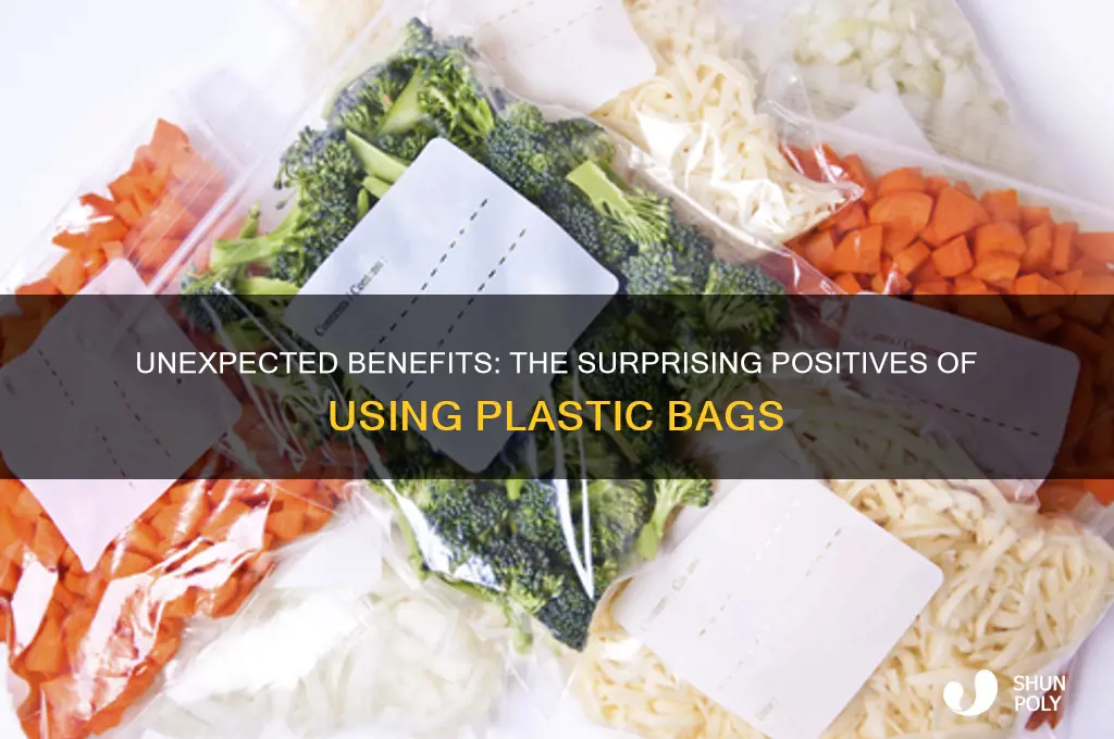 what are positives of using plastic bags