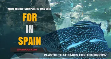 Sustainable Uses of Recycled Plastic Bags in Spain Revealed