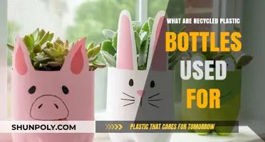 Creative Uses for Recycled Plastic Bottles: Sustainable Solutions Explained