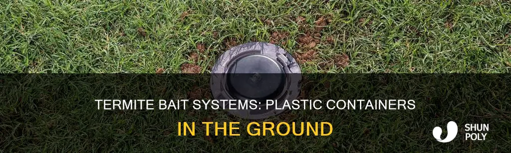 what are round plastic containers in ground for termites
