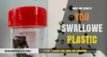 Plastic Ingestion: Signs You've Swallowed Plastic