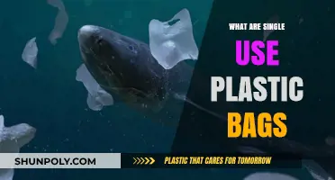 Understanding the Impact of Single-Use Plastic Bags on Our Environment