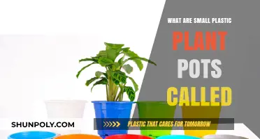 The Many Names of Small Plastic Plant Pots