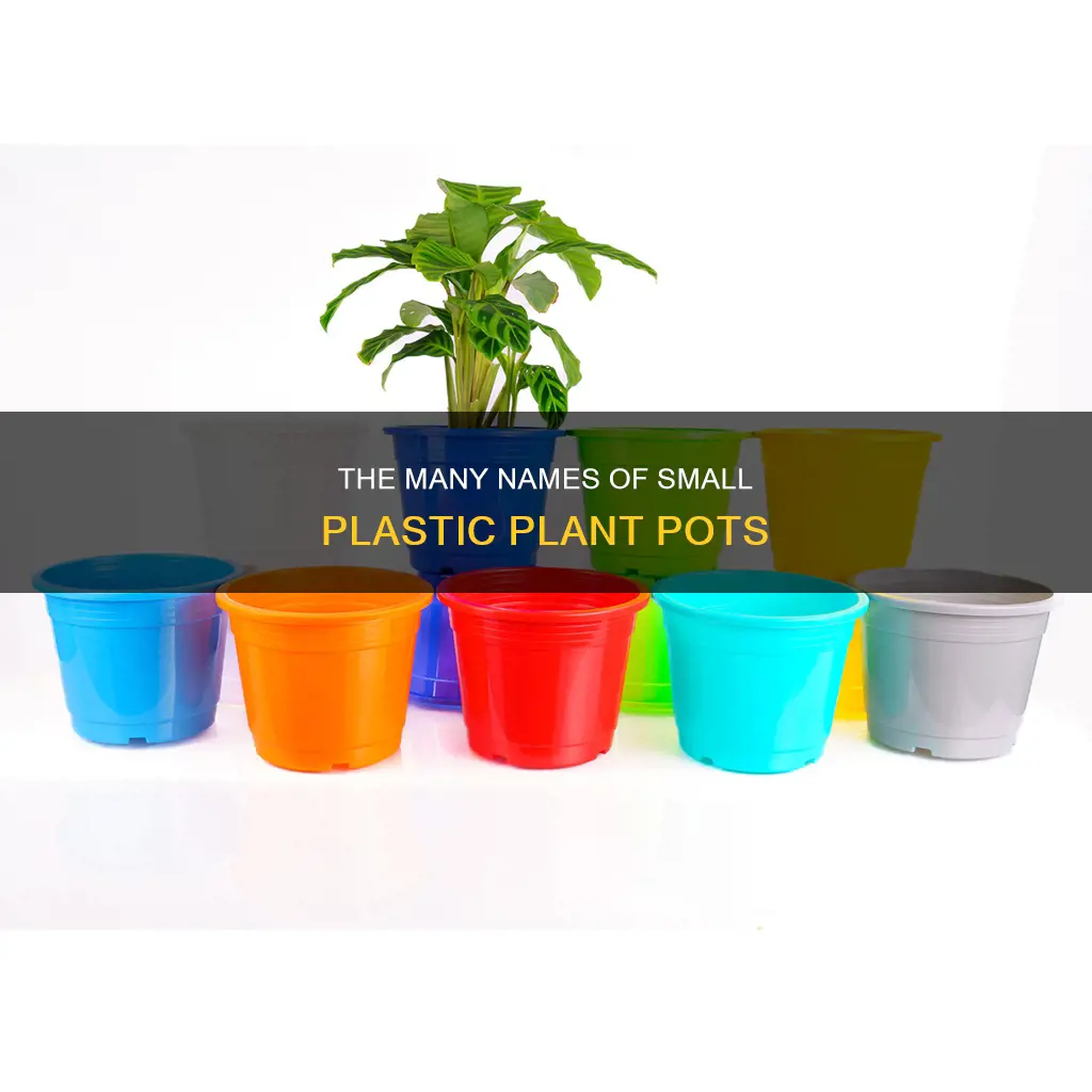 what are small plastic plant pots called