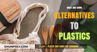 Green Solutions: Alternatives to Plastics for a Sustainable Future