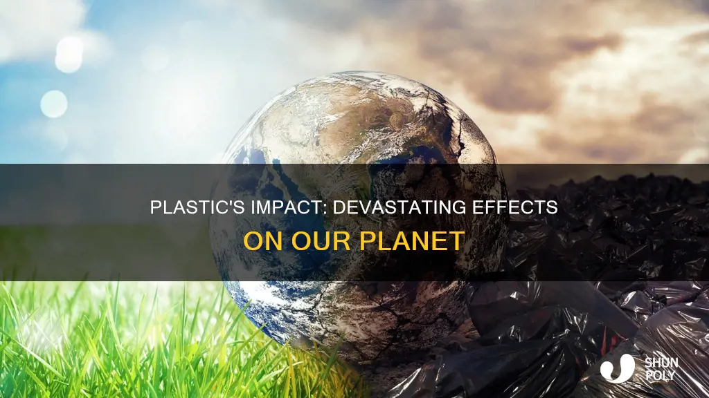 what are some effects of plastic