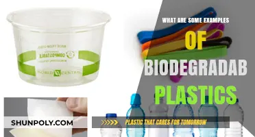 Explore Biodegradable Plastics: Eco-Friendly Alternatives