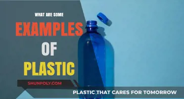 Common Plastics: Examples in Our Daily Lives