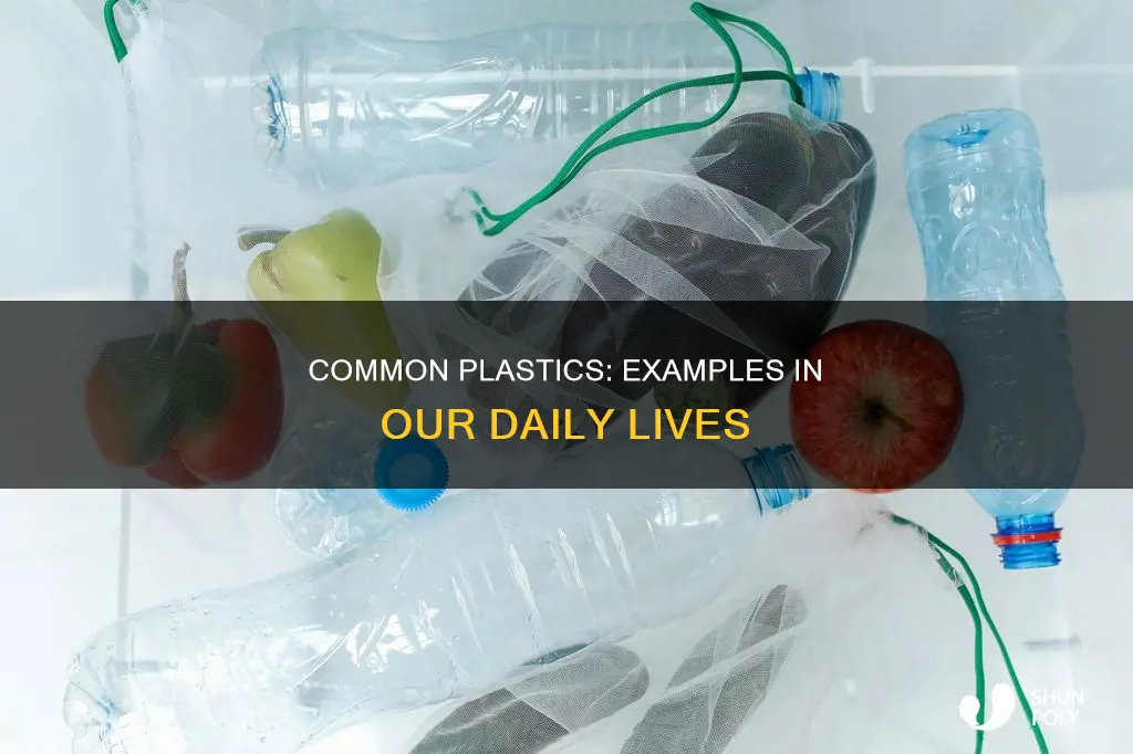 what are some examples of plastic