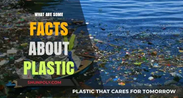 Plastic Facts: Uncovering the Unknowns