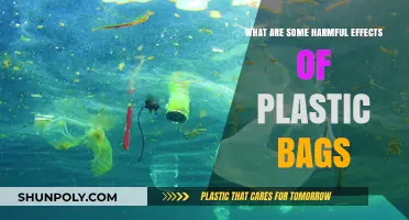 The Devastating Impact of Plastic Bags on Our Environment and Health
