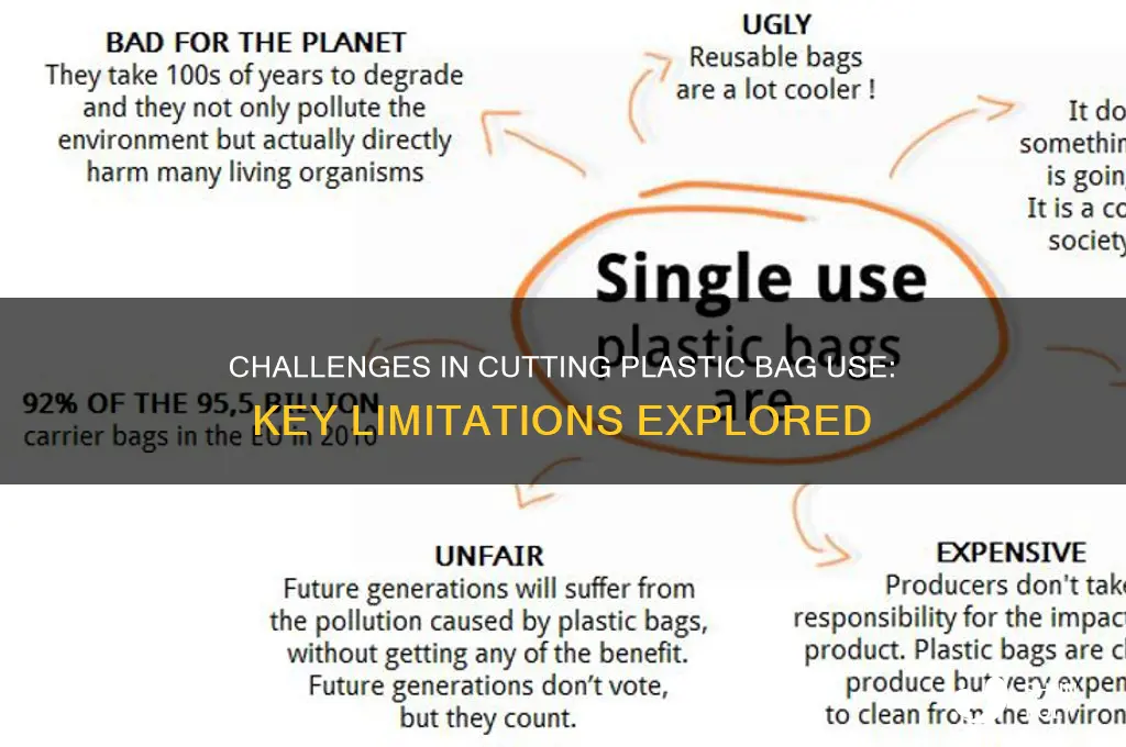 what are some limitations of reducing plastic bags