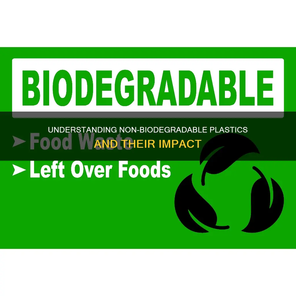 what are some non biodegradable plastics