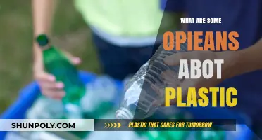 Plastic Opinions: Pros and Cons