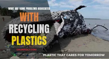 Challenges of Plastic Recycling: Overcoming Obstacles for a Greener Future