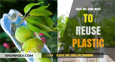 Creative Ways to Reuse Plastic: Reduce, Reuse, Recycle