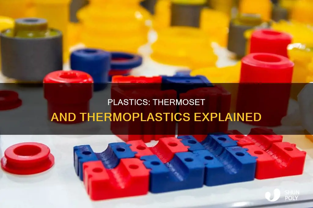what are the 2 groups of plastics