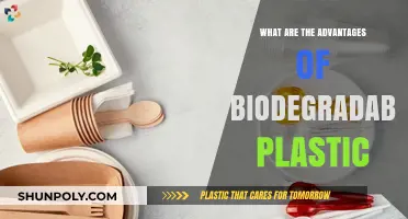 Biodegradable Plastic: Eco-Friendly Benefits and Advantages