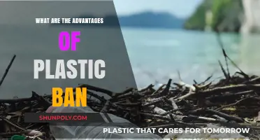 Plastic Ban Benefits: Healthier Planet, Happier People