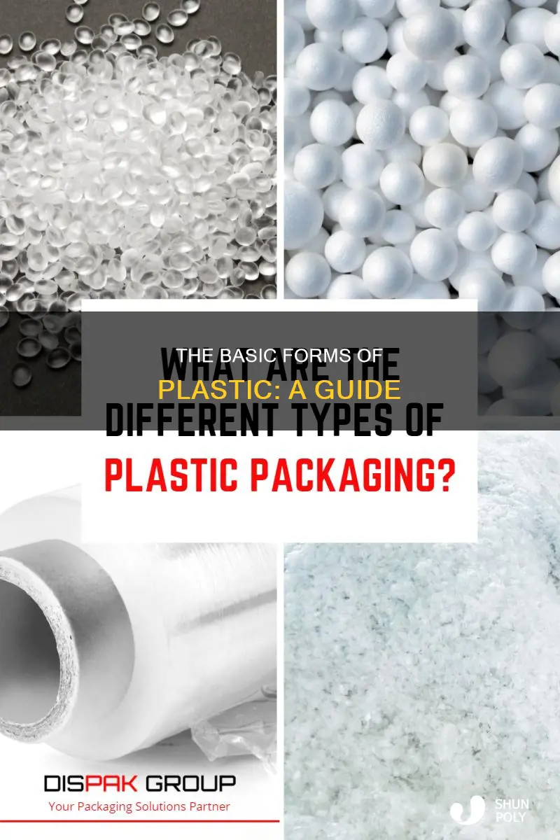 what are the basic forms of plastic