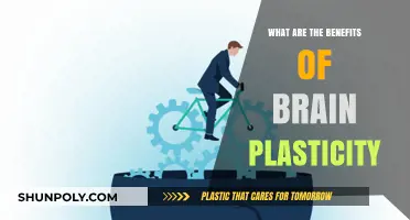 Brain Plasticity: Benefits of a Resilient Mind