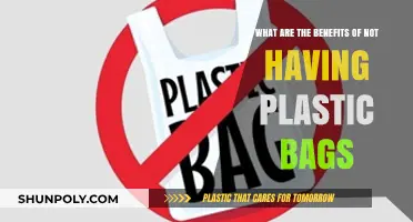 Eco-Friendly Living: The Surprising Benefits of Banning Plastic Bags