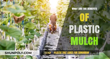 Plastic Mulch: Advantages for Your Garden
