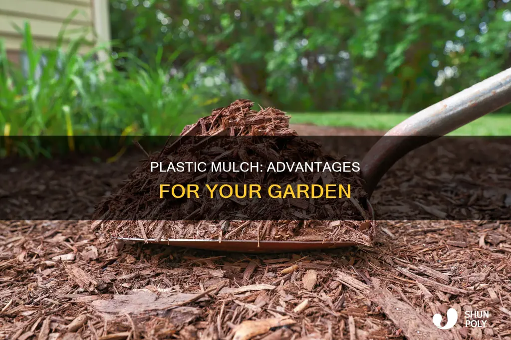 what are the benefits of plastic mulch
