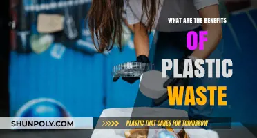 Plastic Waste: Turning Trash into Treasure