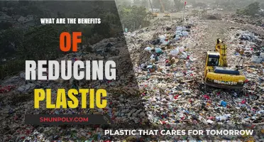 Reducing Plastic: Saving Money, Environment, and Our Health