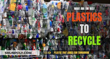 Best Plastics for Recycling: What You Need to Know