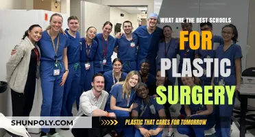 Top Plastic Surgery Schools: Best Programs for Aspiring Surgeons