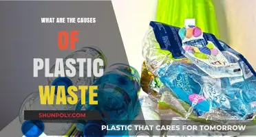 Plastic Pollution: Understanding the Causes of Plastic Waste