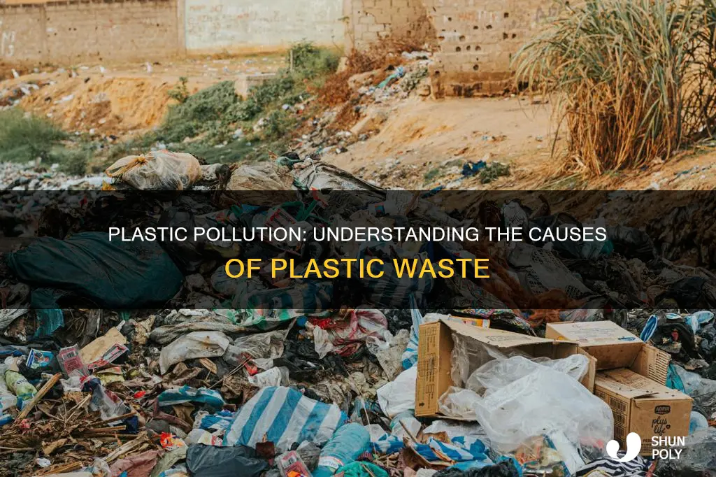 what are the causes of plastic waste