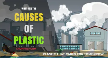 The Plastic Problem: Understanding the Root Causes